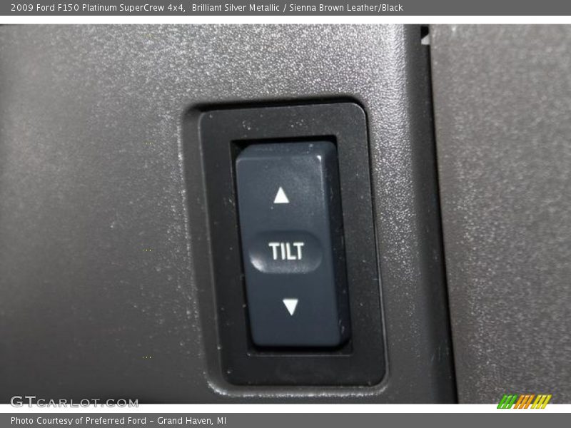 Brilliant Silver Metallic / Sienna Brown Leather/Black 2009 Ford F150 Platinum SuperCrew 4x4