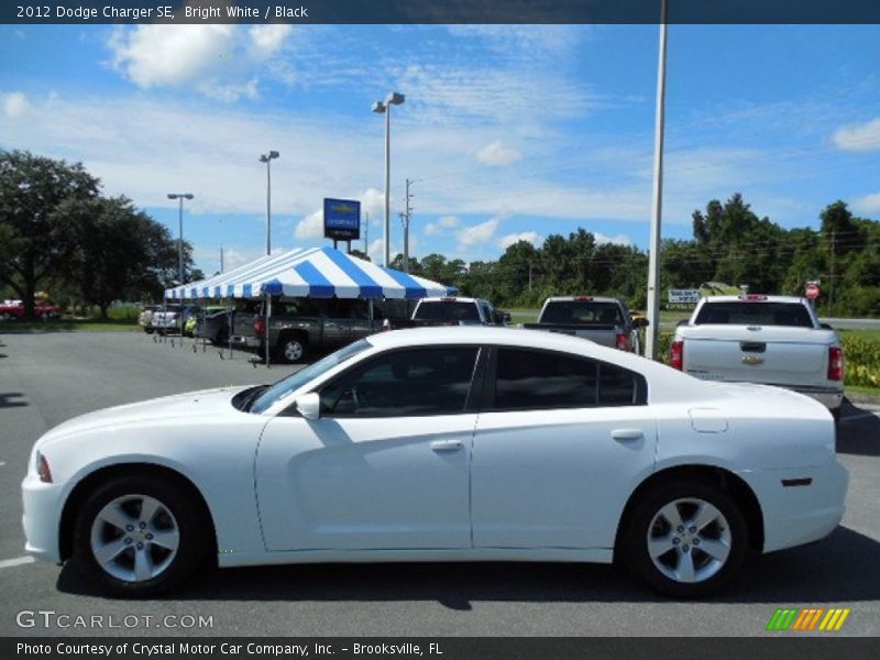 Bright White / Black 2012 Dodge Charger SE