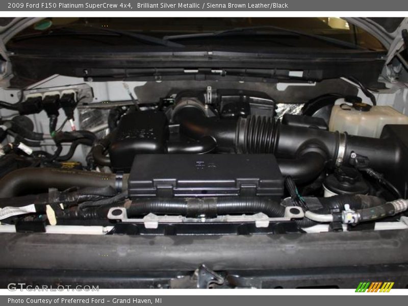 Brilliant Silver Metallic / Sienna Brown Leather/Black 2009 Ford F150 Platinum SuperCrew 4x4