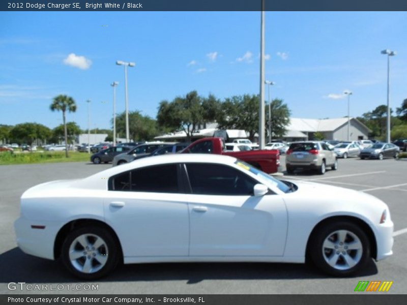Bright White / Black 2012 Dodge Charger SE