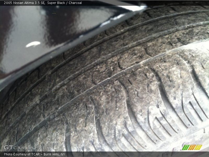 Super Black / Charcoal 2005 Nissan Altima 3.5 SE