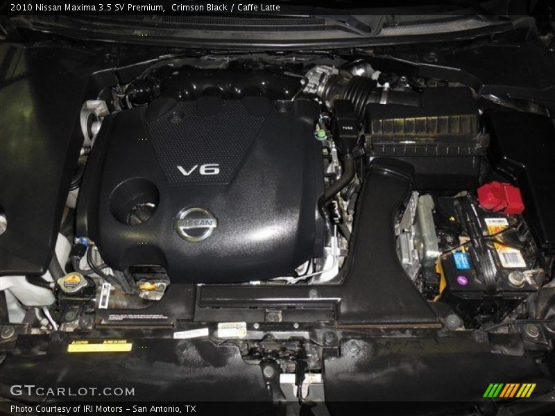 Crimson Black / Caffe Latte 2010 Nissan Maxima 3.5 SV Premium