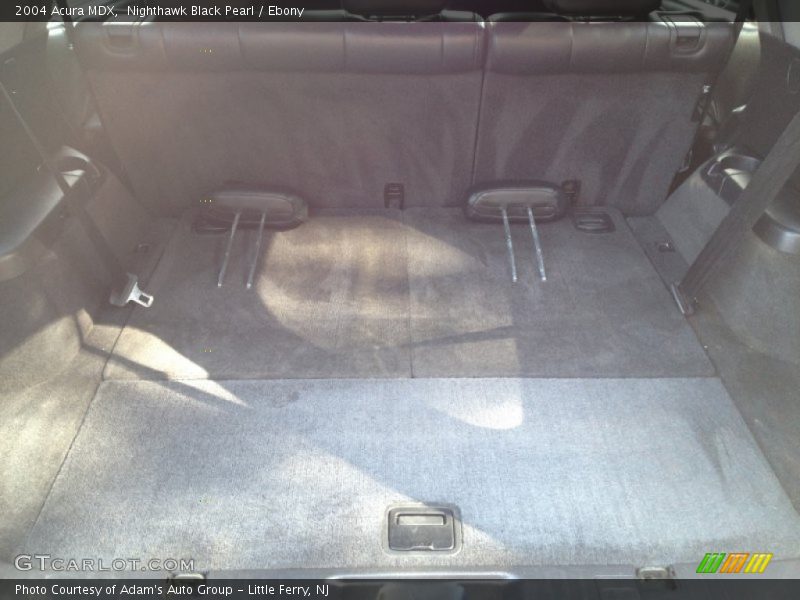 Nighthawk Black Pearl / Ebony 2004 Acura MDX