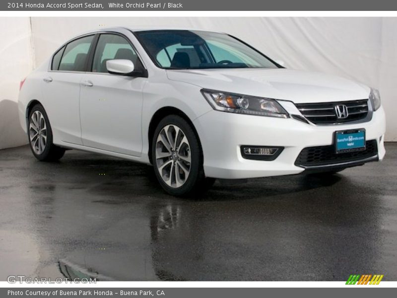 White Orchid Pearl / Black 2014 Honda Accord Sport Sedan