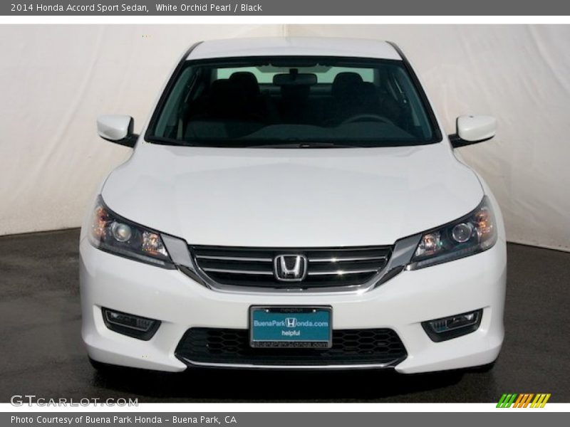 White Orchid Pearl / Black 2014 Honda Accord Sport Sedan