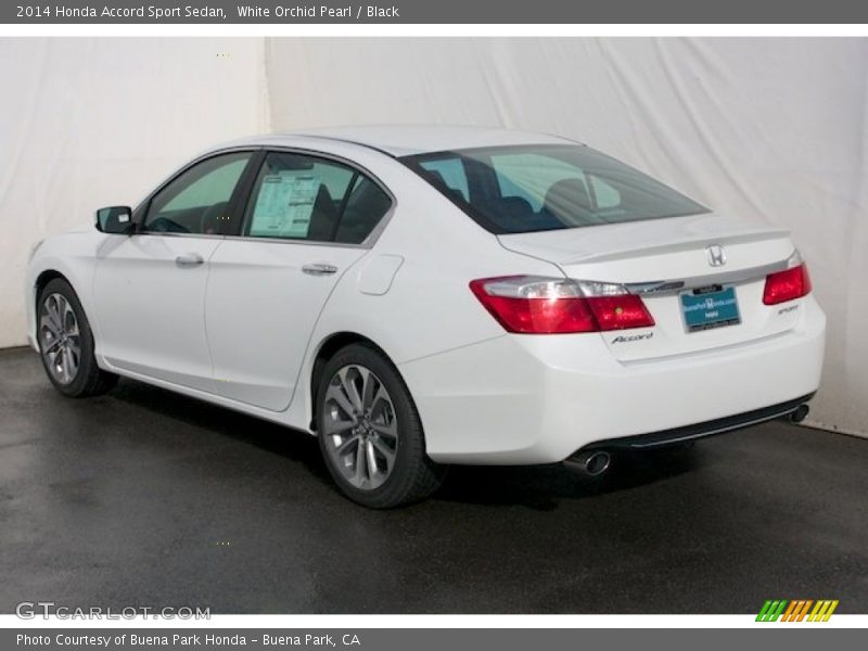 White Orchid Pearl / Black 2014 Honda Accord Sport Sedan