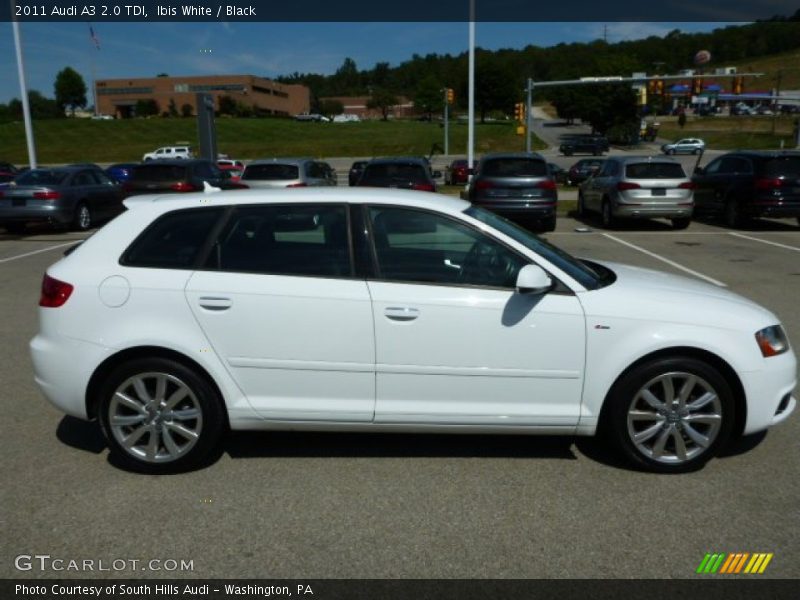 Ibis White / Black 2011 Audi A3 2.0 TDI