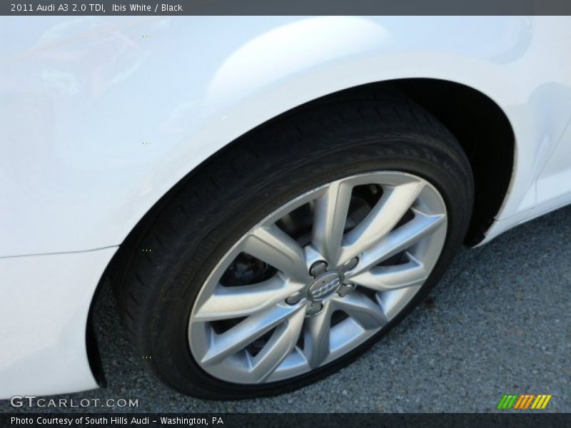 Ibis White / Black 2011 Audi A3 2.0 TDI