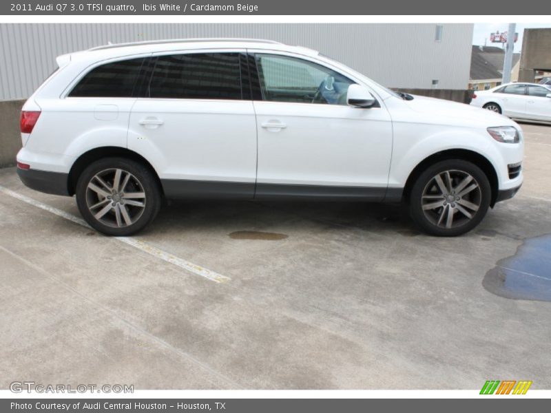Ibis White / Cardamom Beige 2011 Audi Q7 3.0 TFSI quattro