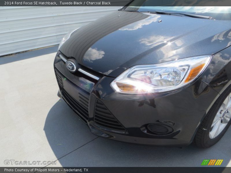 Tuxedo Black / Charcoal Black 2014 Ford Focus SE Hatchback