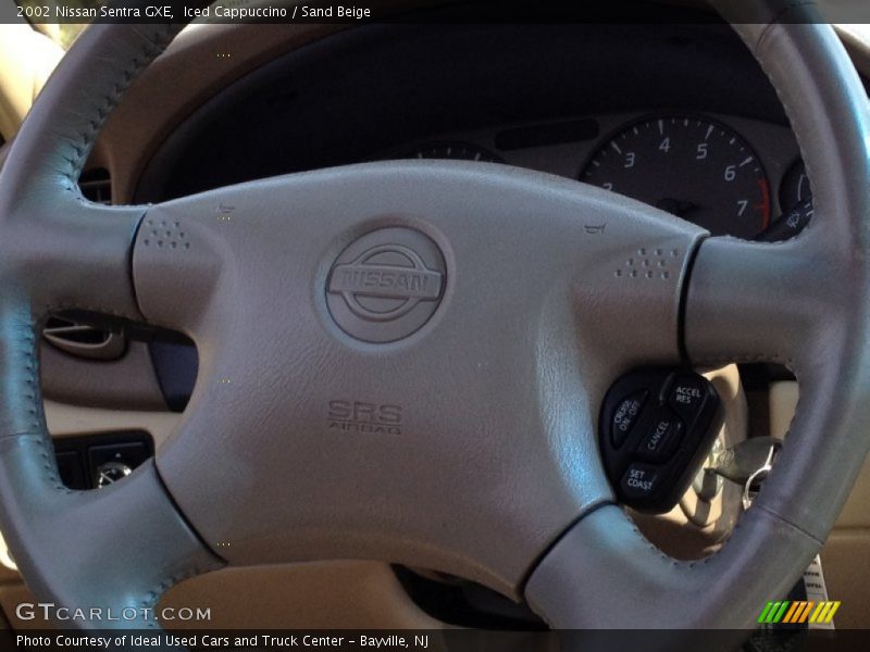 Iced Cappuccino / Sand Beige 2002 Nissan Sentra GXE