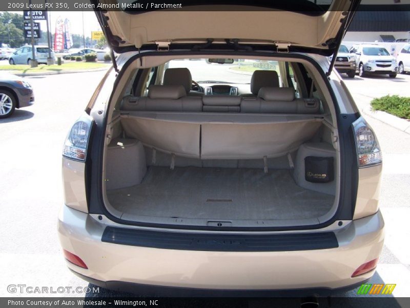 Golden Almond Metallic / Parchment 2009 Lexus RX 350
