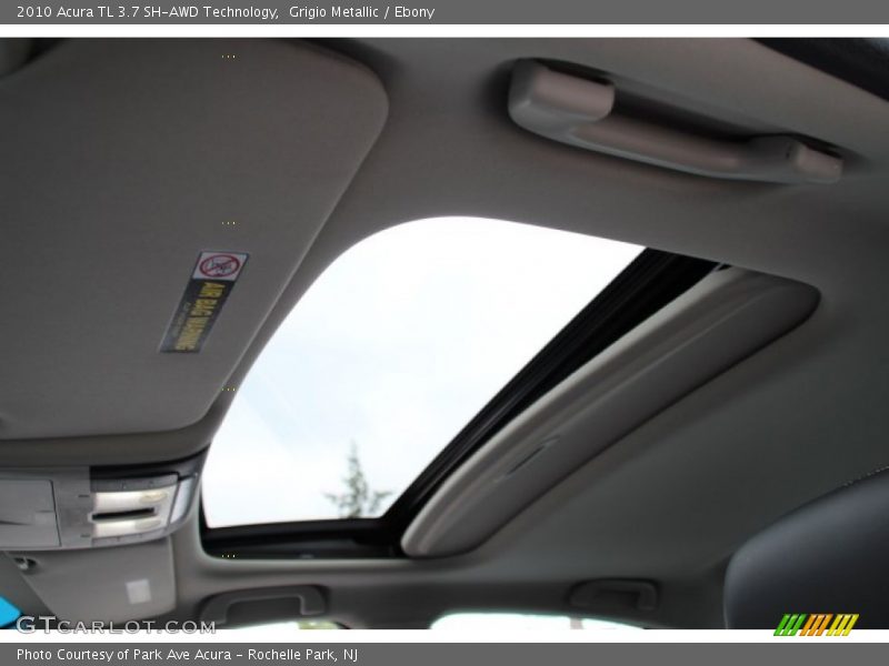 Grigio Metallic / Ebony 2010 Acura TL 3.7 SH-AWD Technology