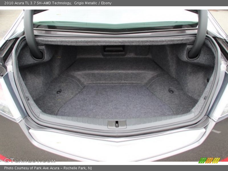 Grigio Metallic / Ebony 2010 Acura TL 3.7 SH-AWD Technology