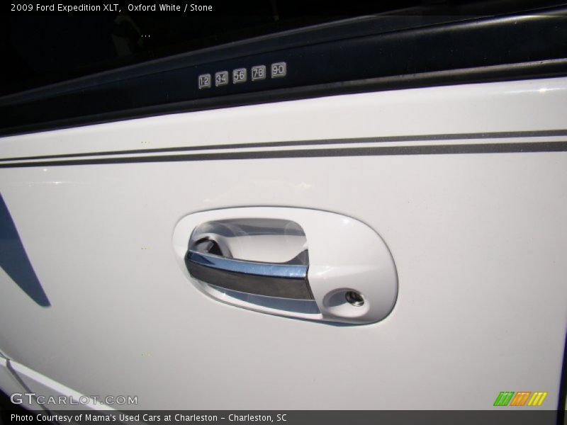 Oxford White / Stone 2009 Ford Expedition XLT