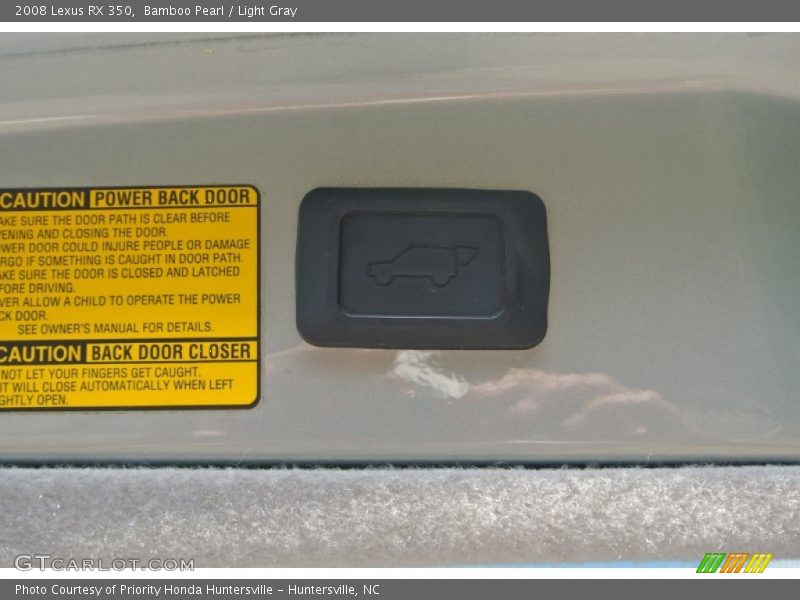Bamboo Pearl / Light Gray 2008 Lexus RX 350