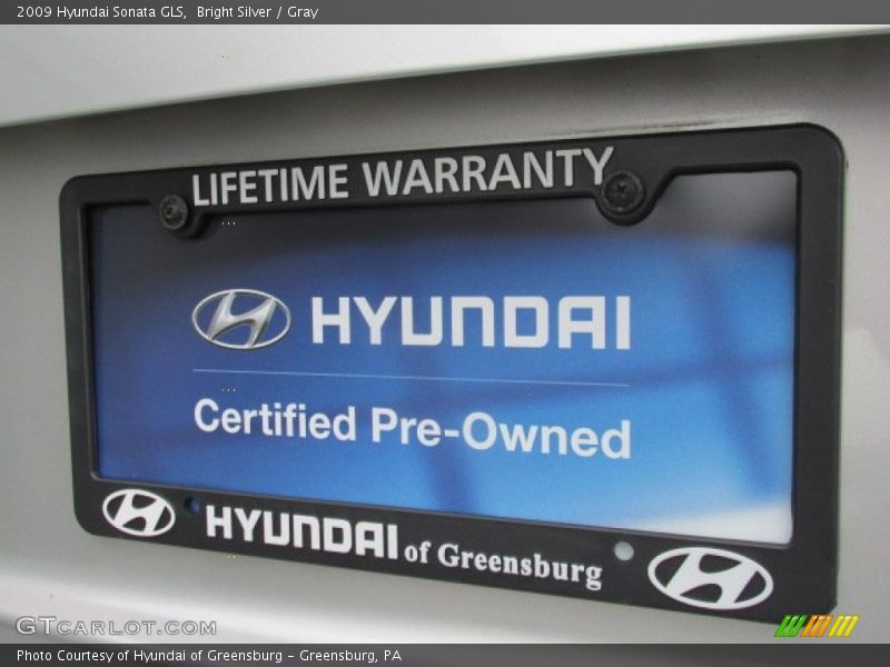 Bright Silver / Gray 2009 Hyundai Sonata GLS