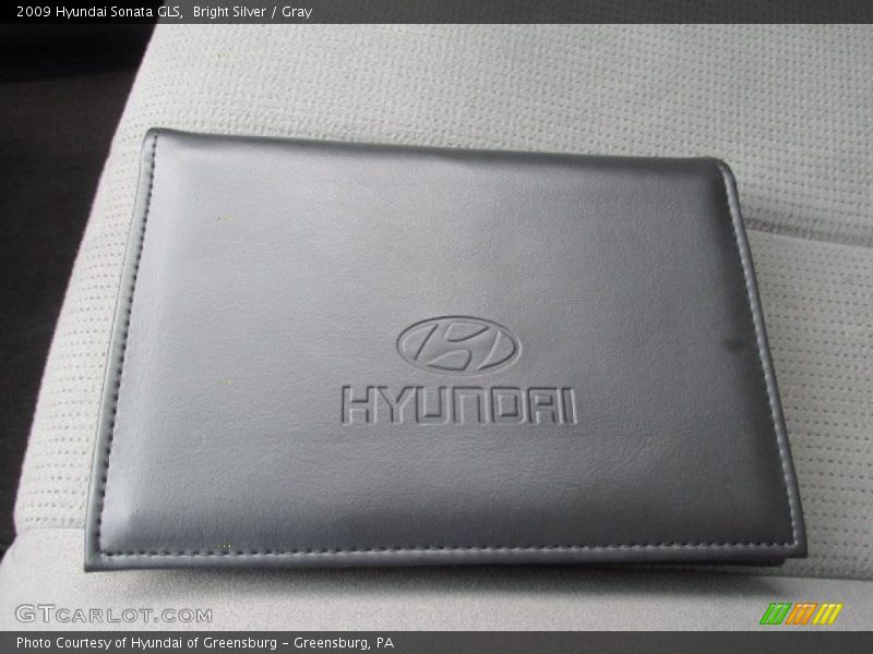 Bright Silver / Gray 2009 Hyundai Sonata GLS