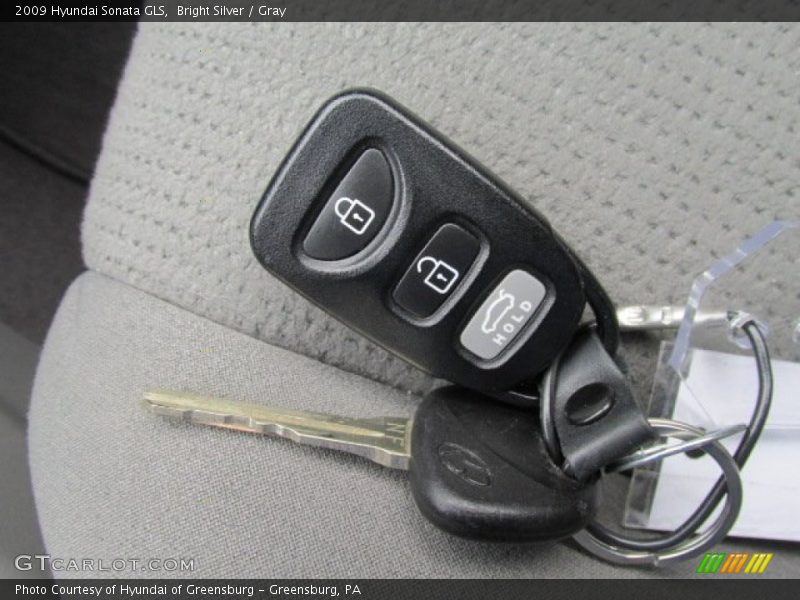 Bright Silver / Gray 2009 Hyundai Sonata GLS