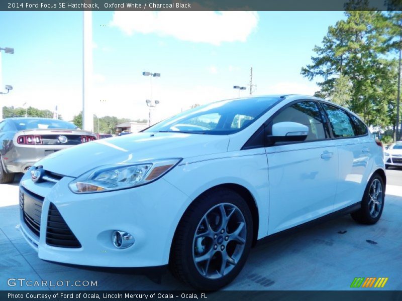 Oxford White / Charcoal Black 2014 Ford Focus SE Hatchback