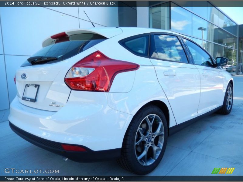 Oxford White / Charcoal Black 2014 Ford Focus SE Hatchback
