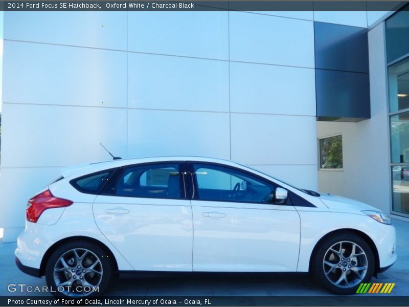 Oxford White / Charcoal Black 2014 Ford Focus SE Hatchback
