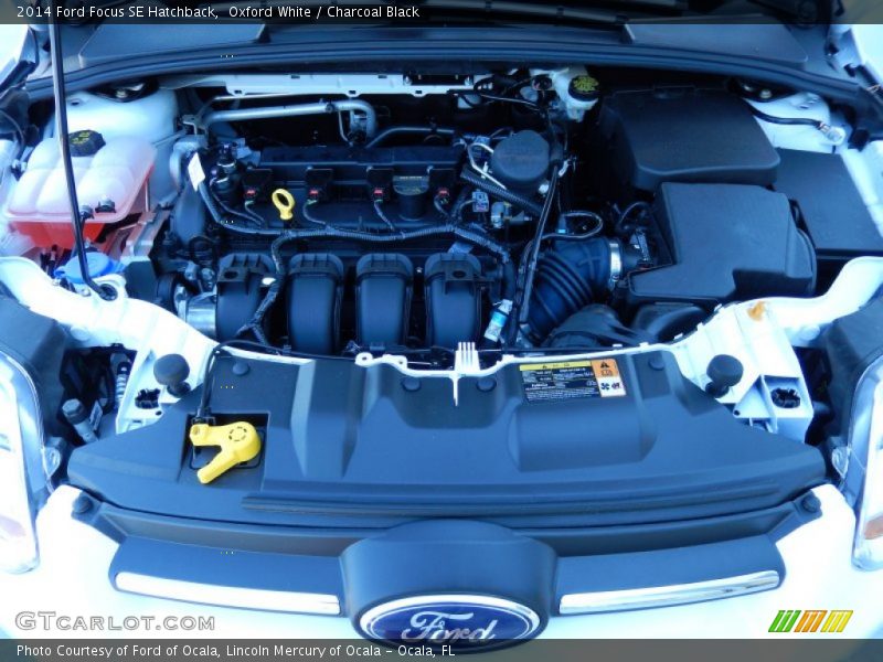 Oxford White / Charcoal Black 2014 Ford Focus SE Hatchback