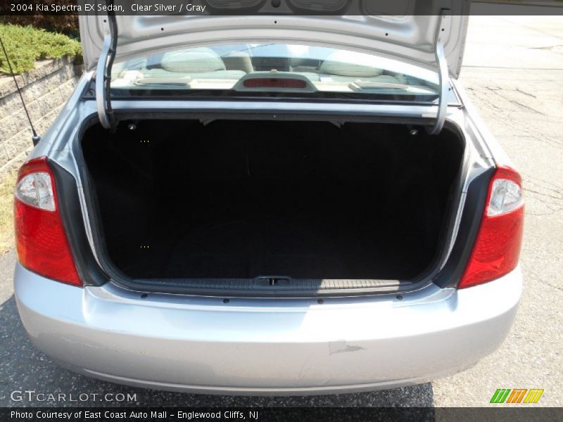 Clear Silver / Gray 2004 Kia Spectra EX Sedan