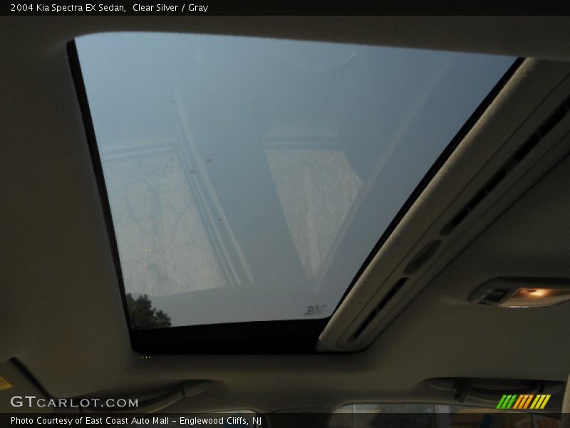 Clear Silver / Gray 2004 Kia Spectra EX Sedan