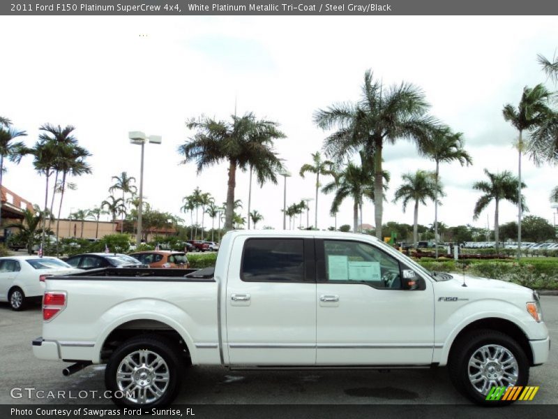 White Platinum Metallic Tri-Coat / Steel Gray/Black 2011 Ford F150 Platinum SuperCrew 4x4