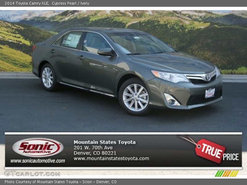 Cypress Pearl / Ivory 2014 Toyota Camry XLE