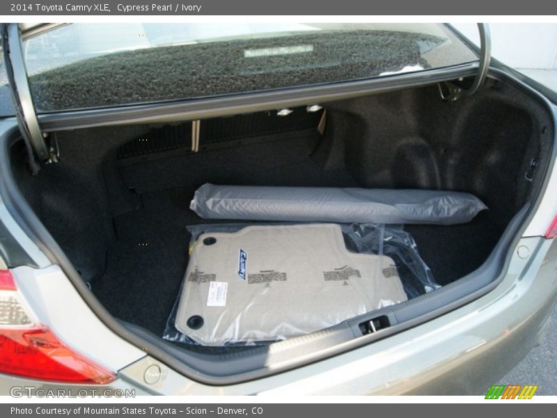 Cypress Pearl / Ivory 2014 Toyota Camry XLE