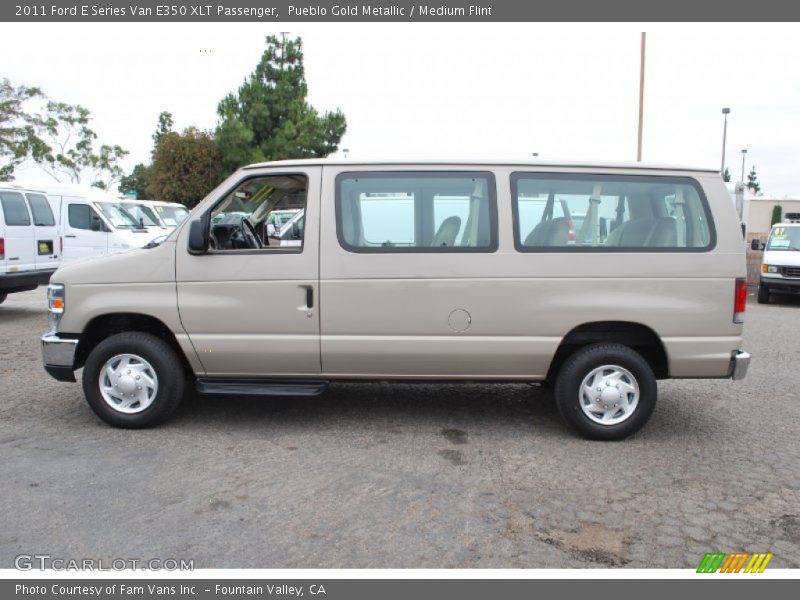 Pueblo Gold Metallic / Medium Flint 2011 Ford E Series Van E350 XLT Passenger