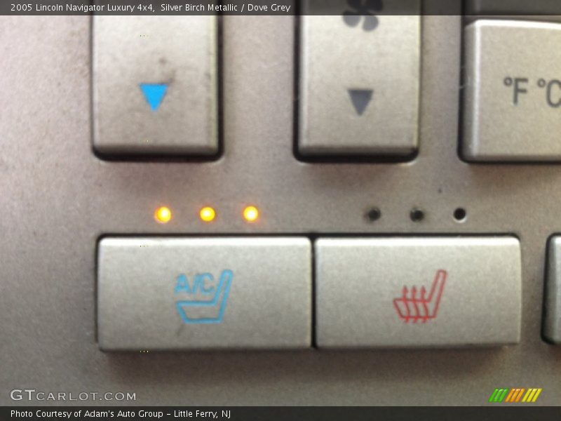 Silver Birch Metallic / Dove Grey 2005 Lincoln Navigator Luxury 4x4