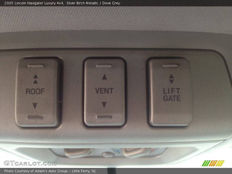 Silver Birch Metallic / Dove Grey 2005 Lincoln Navigator Luxury 4x4