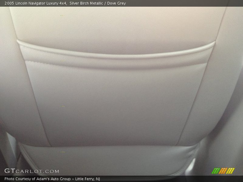 Silver Birch Metallic / Dove Grey 2005 Lincoln Navigator Luxury 4x4