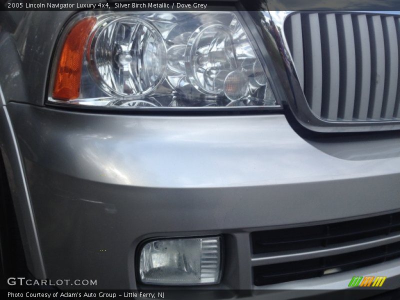 Silver Birch Metallic / Dove Grey 2005 Lincoln Navigator Luxury 4x4