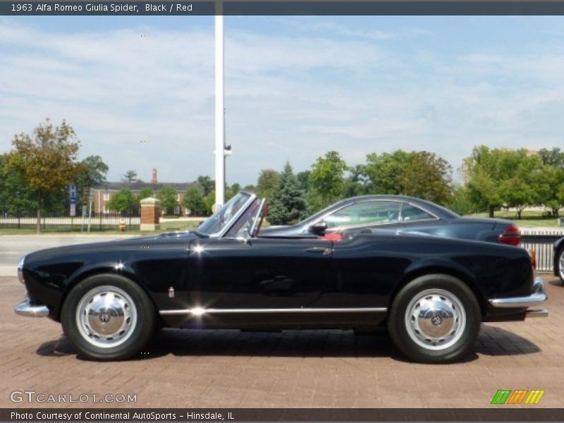 Black / Red 1963 Alfa Romeo Giulia Spider