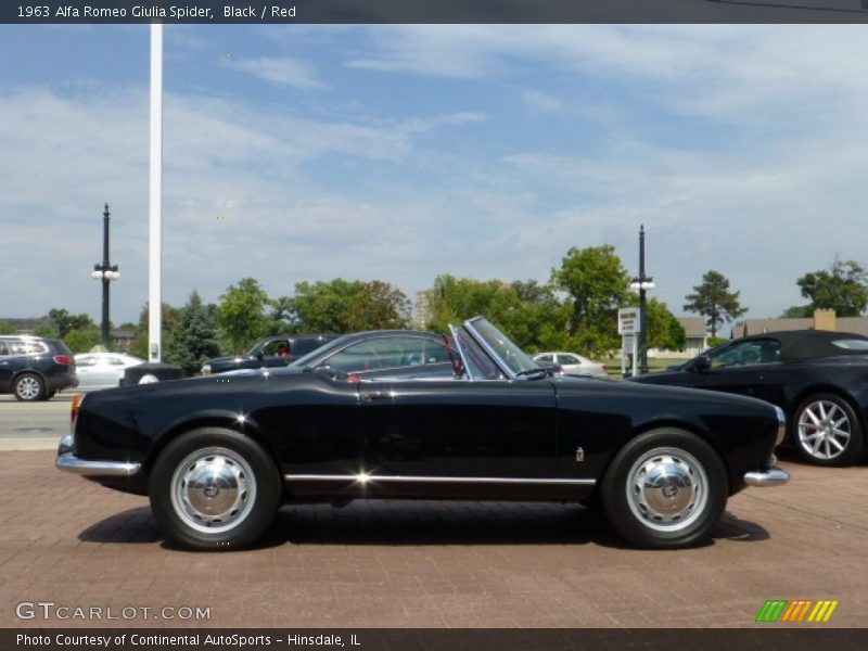  1963 Giulia Spider Black