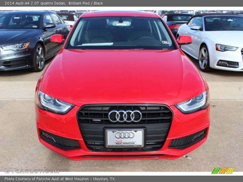 Brilliant Red / Black 2014 Audi A4 2.0T quattro Sedan
