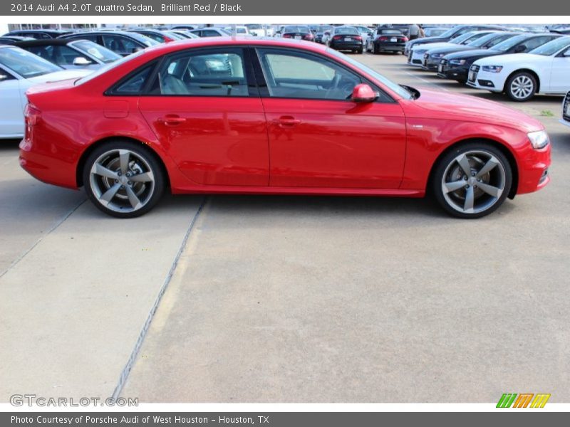 Brilliant Red / Black 2014 Audi A4 2.0T quattro Sedan