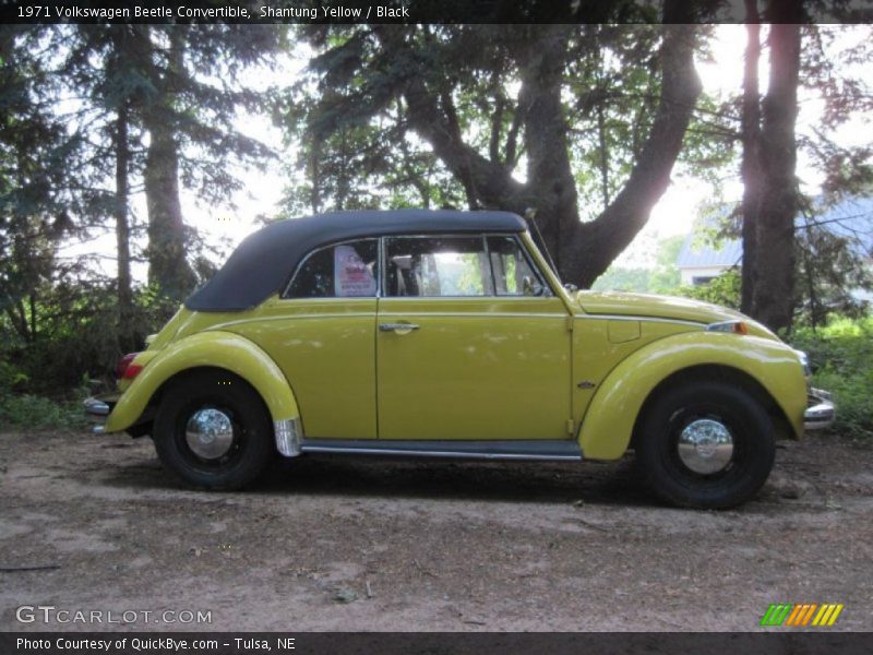 Shantung Yellow / Black 1971 Volkswagen Beetle Convertible