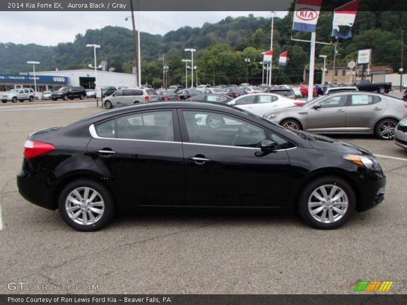 Aurora Black / Gray 2014 Kia Forte EX