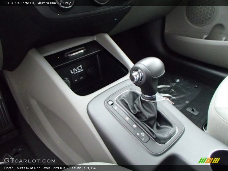 Aurora Black / Gray 2014 Kia Forte EX