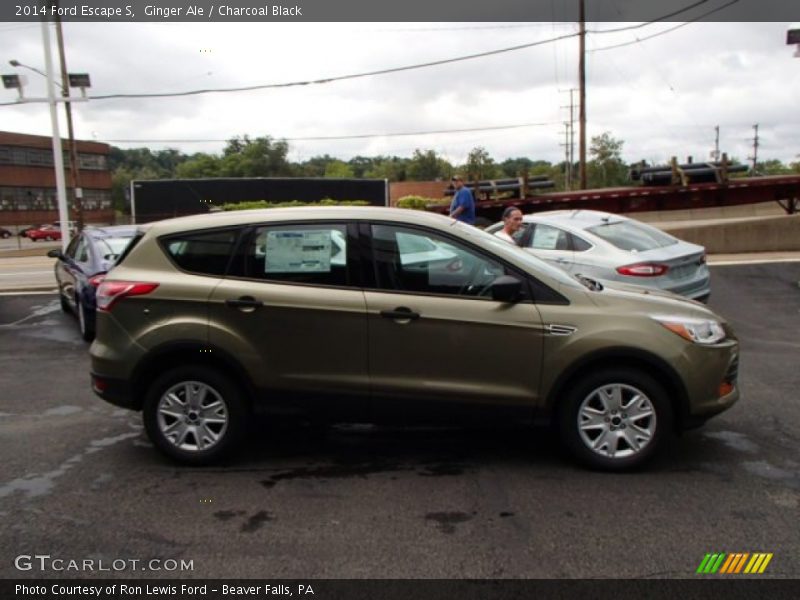 Ginger Ale / Charcoal Black 2014 Ford Escape S