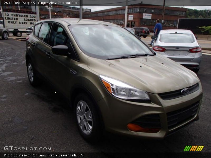 Ginger Ale / Charcoal Black 2014 Ford Escape S