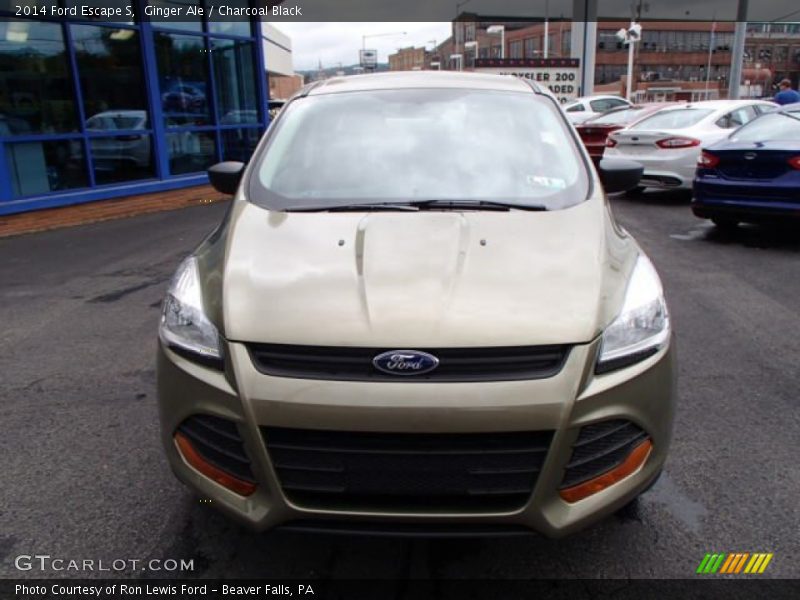 Ginger Ale / Charcoal Black 2014 Ford Escape S