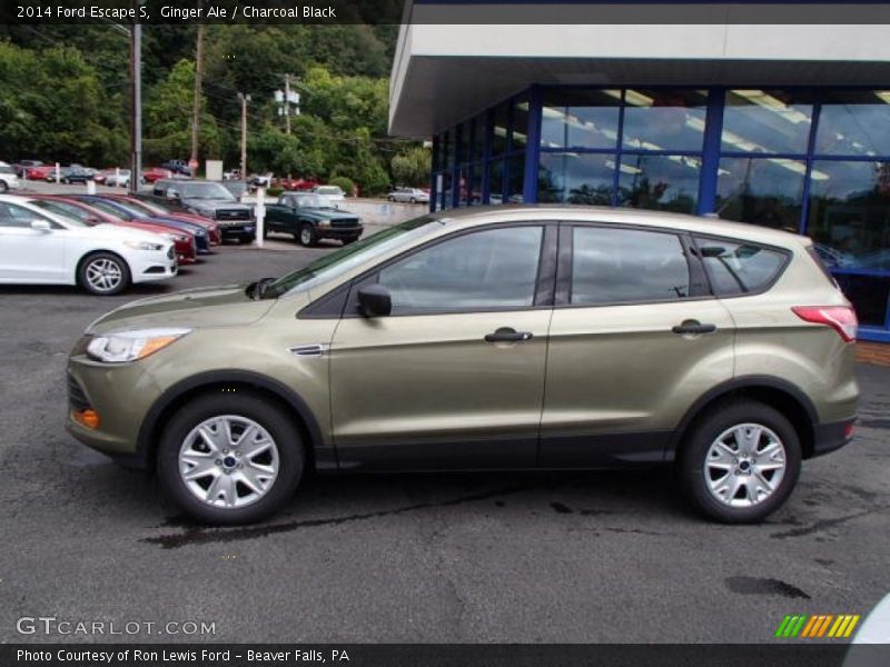  2014 Escape S Ginger Ale