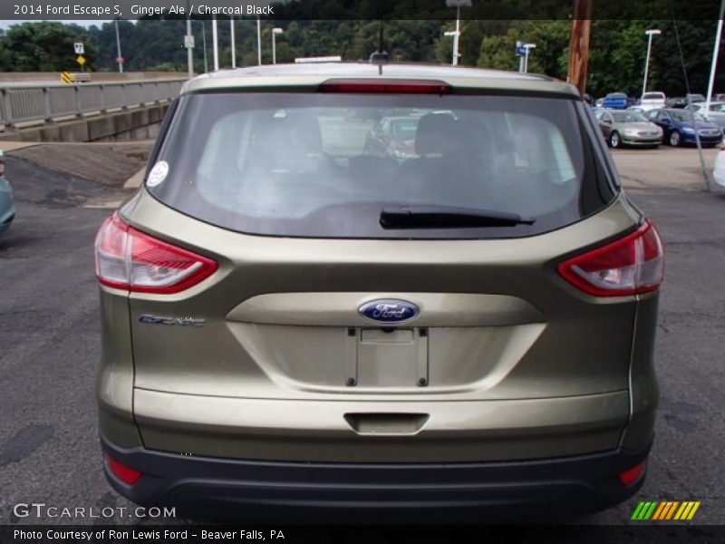 Ginger Ale / Charcoal Black 2014 Ford Escape S