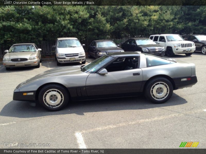  1987 Corvette Coupe Silver Beige Metallic